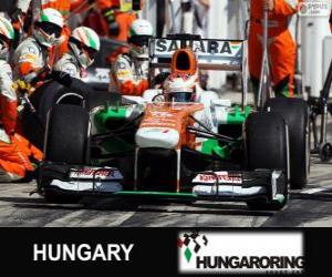 Puzzle Paul di Resta - Force India - Hungaroring, 2013